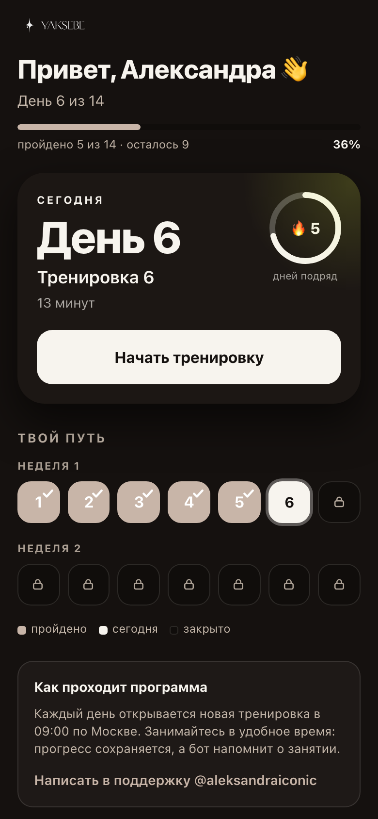 Мини-приложение YAKSEBE: прогресс и тренировка дня